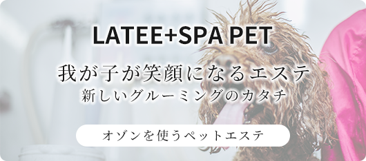 LATEE+SPA PET